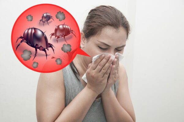 allergie acariens